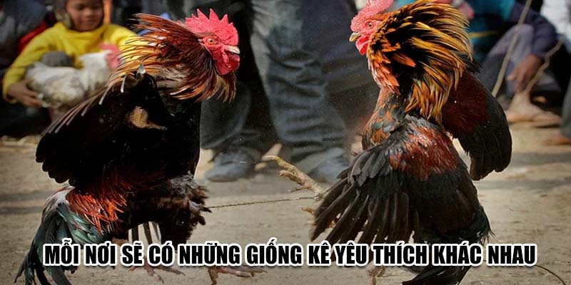 Mỗi nơi sẽ có những giống kê yêu thích khác nhau