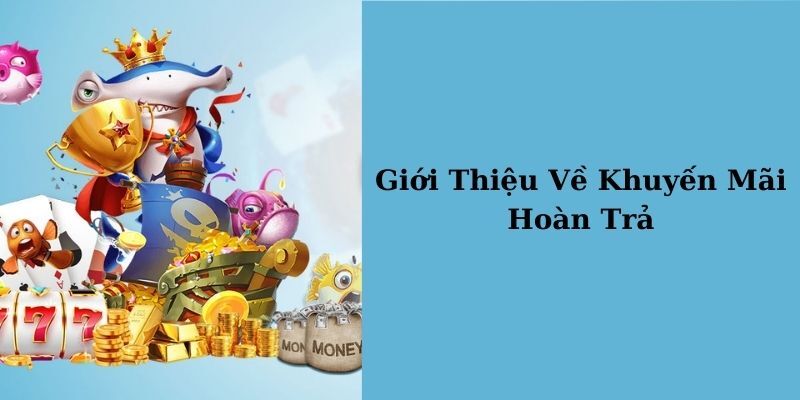 Khuyến mãi hoàn trả luôn được nhiều hội viên mong đợi 